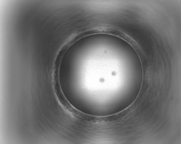 X0000070880730200606302137