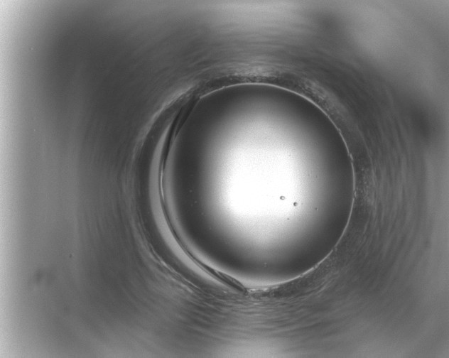 X0000070880731200606302137