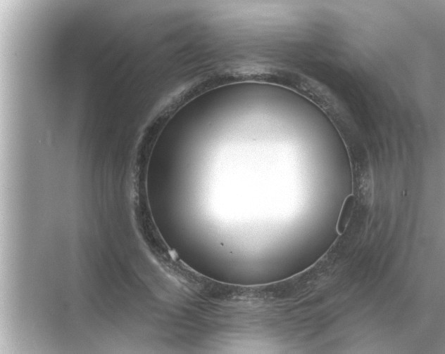 X0000070880732200606302137