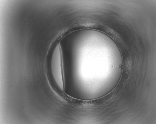 X0000070880734200606302137