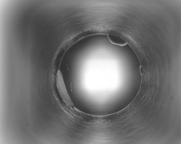 X0000070880736200606302137