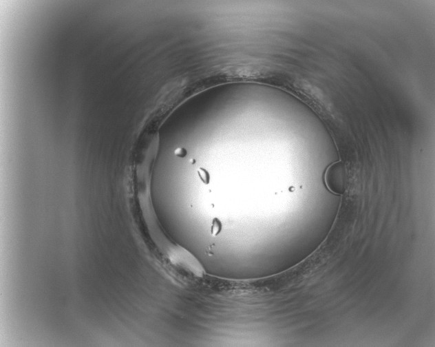 X0000070880738200606302137