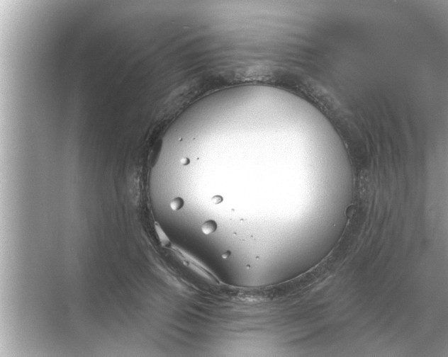 X0000070880741200606302137