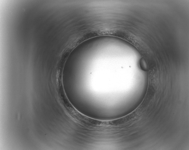 X0000070880742200606302137