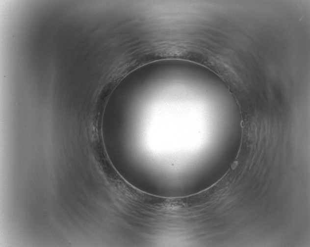 X0000070880743200606302137