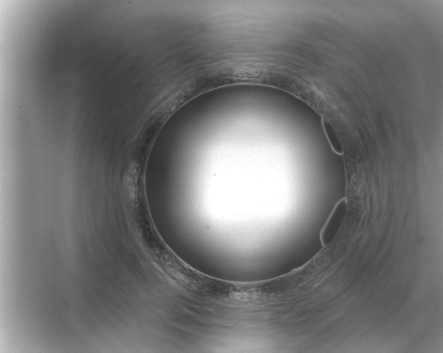 X0000070880744200606302137