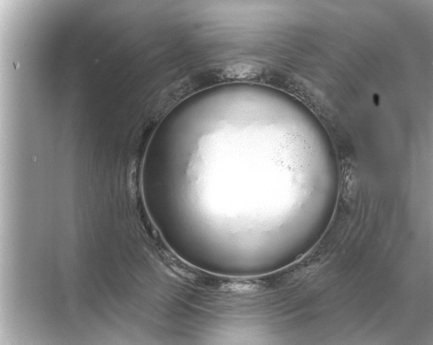 X0000070880745200606302137