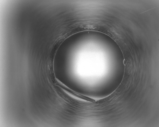 X0000070880747200606302137