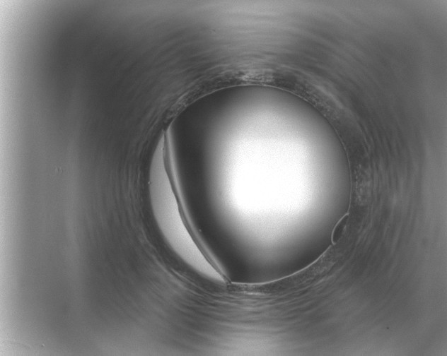 X0000070880748200606302137