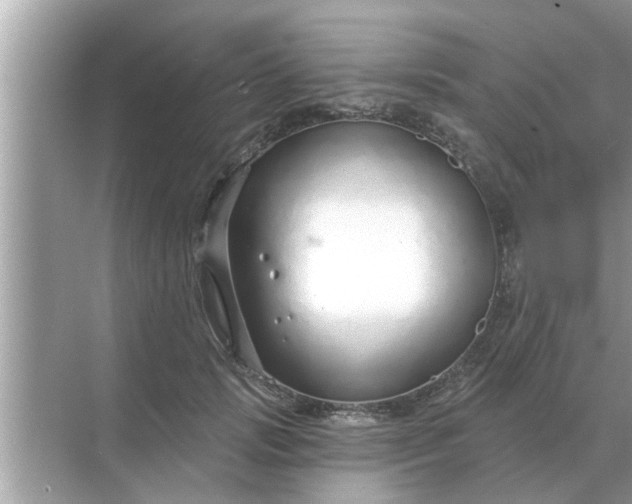 X0000070880749200606302137