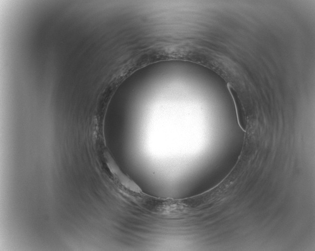 X0000070880752200606302137