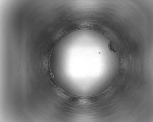 X0000070880753200606302137