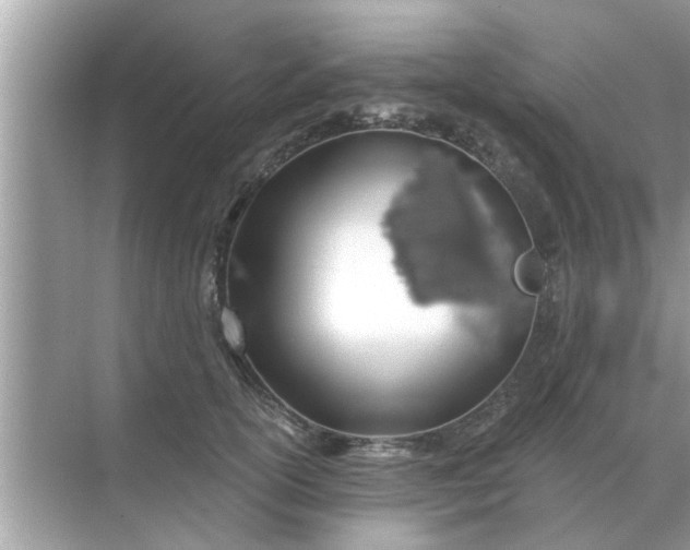 X0000070880754200606302137