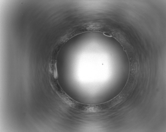 X0000070880755200606302137