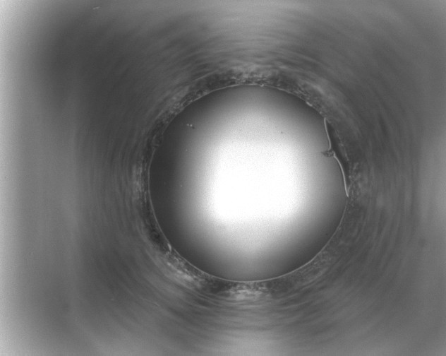 X0000070880756200606302137