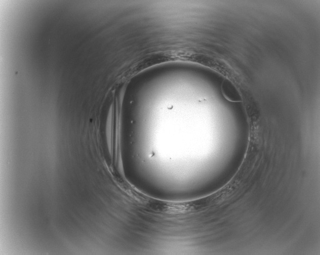 X0000070880757200606302137