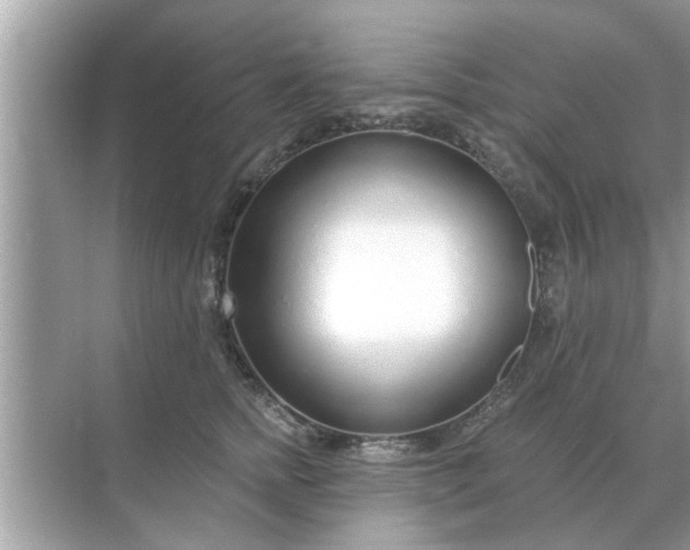 X0000070880758200606302137