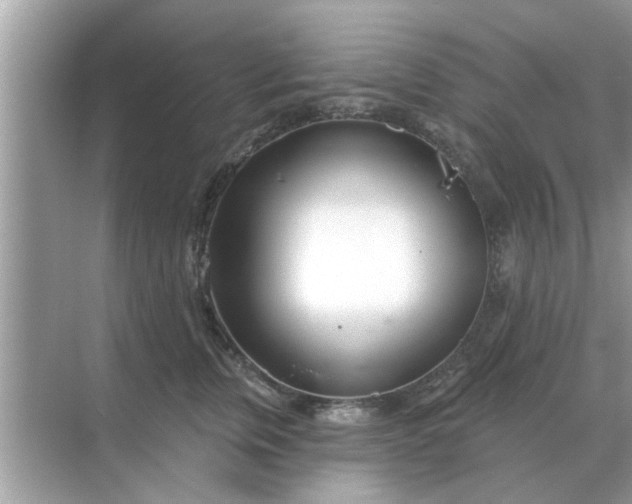 X0000070880759200606302137