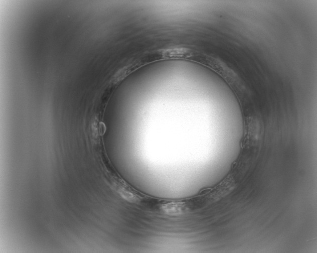 X0000070880761200606302137