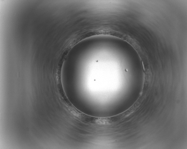 X0000070880762200606302137