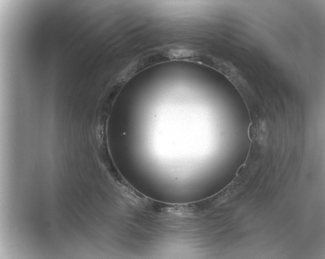 X0000070880763200606302137