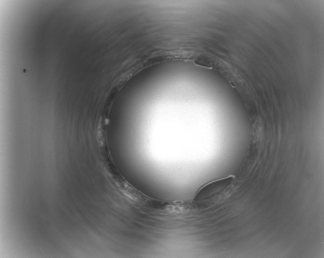 X0000070880764200606302137