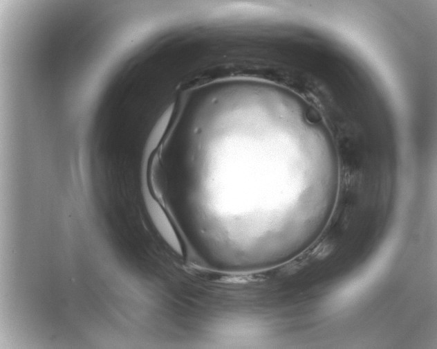 X0000070880765200606302137