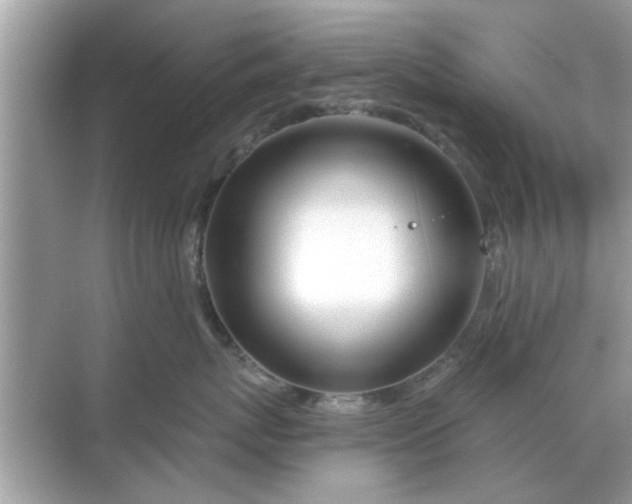 X0000070880767200606302137