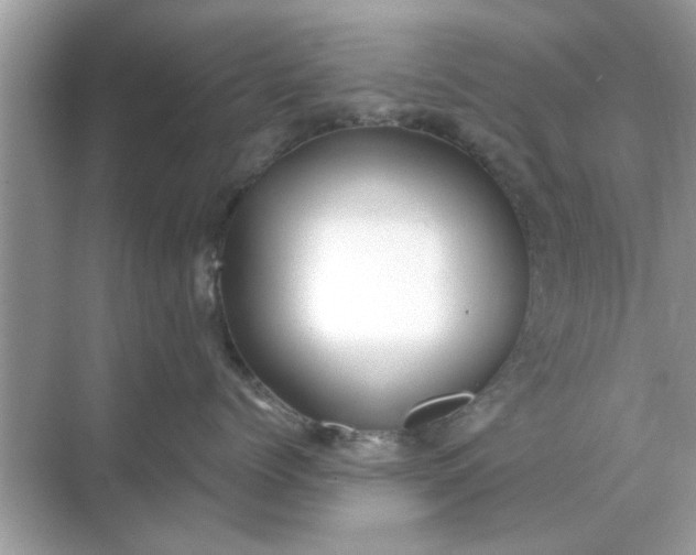 X0000070880768200606302137