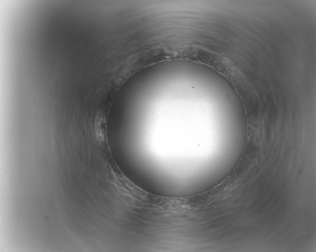 X0000070880770200606302136