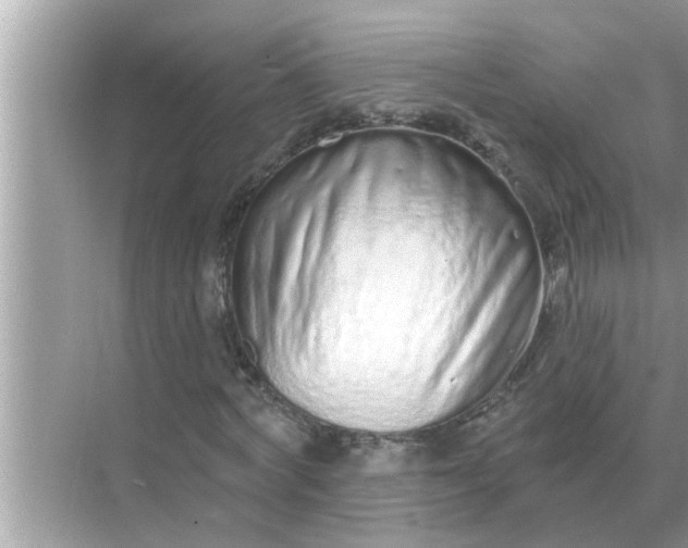 X0000070880772200606302136