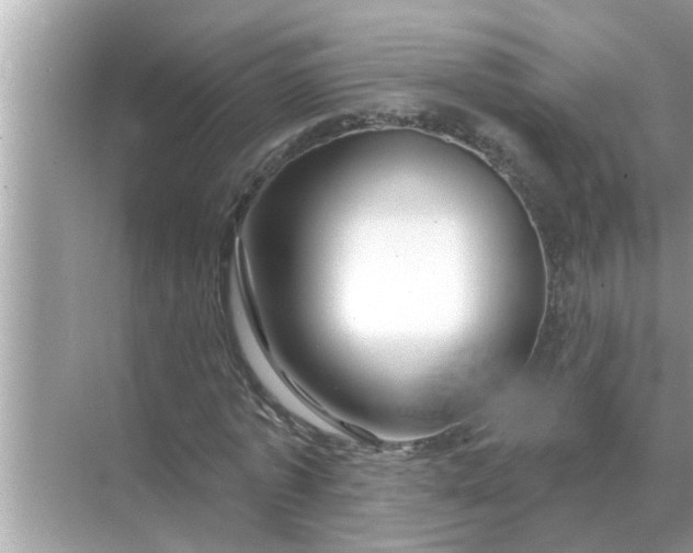 X0000070880773200606302136