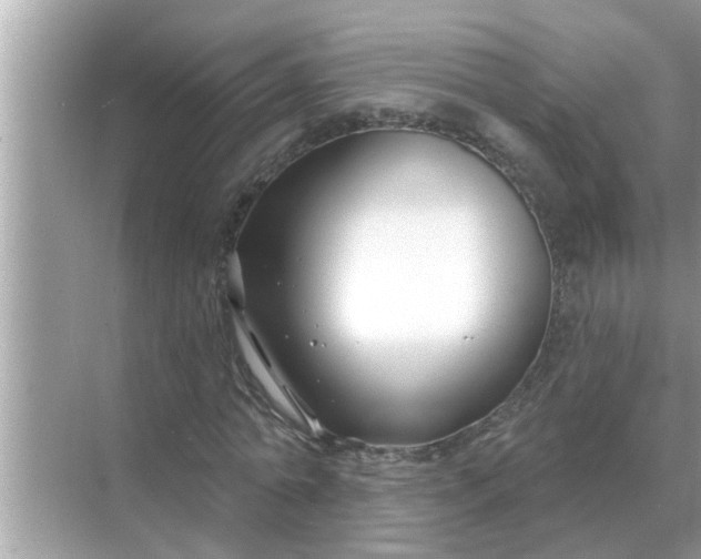 X0000070880774200606302136