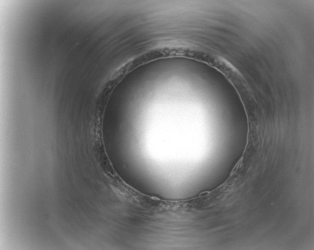 X0000070880775200606302136