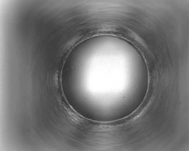 X0000070880777200606302136