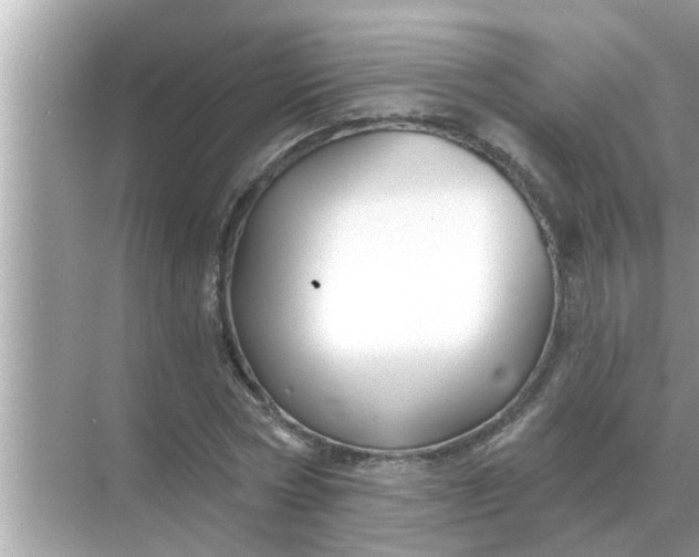 X0000070880778200606302136