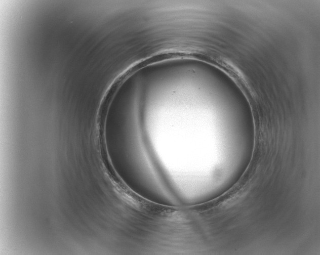 X0000070880779200606302136