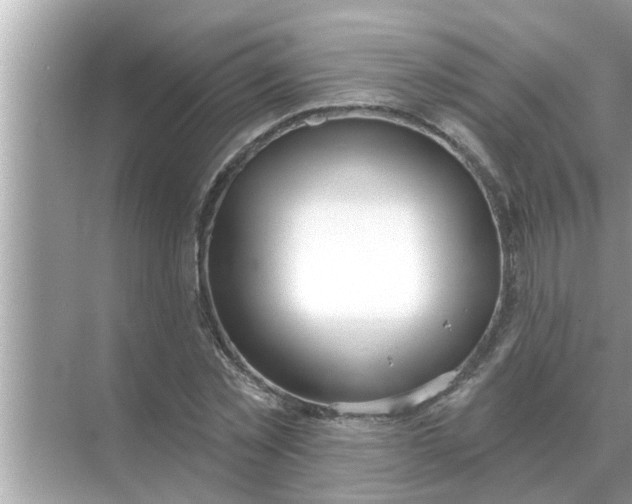 X0000070880781200606302136