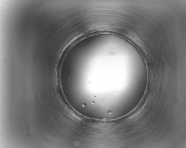 X0000070880782200606302136