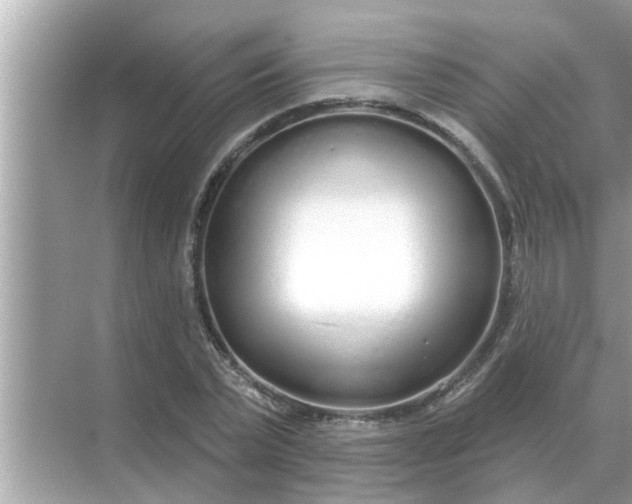 X0000070880783200606302136