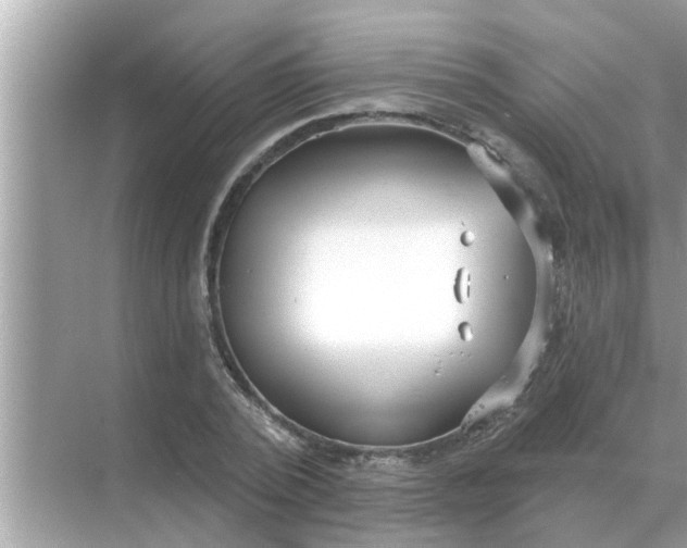 X0000070880784200606302136