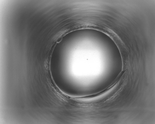 X0000070880785200606302136