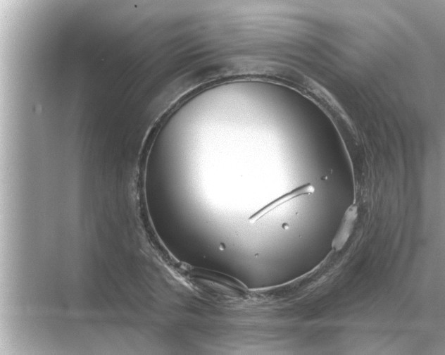 X0000070880786200606302136