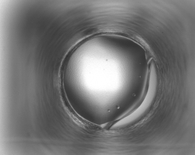 X0000070880787200606302136