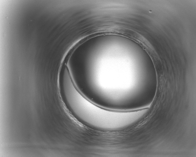 X0000070880788200606302136