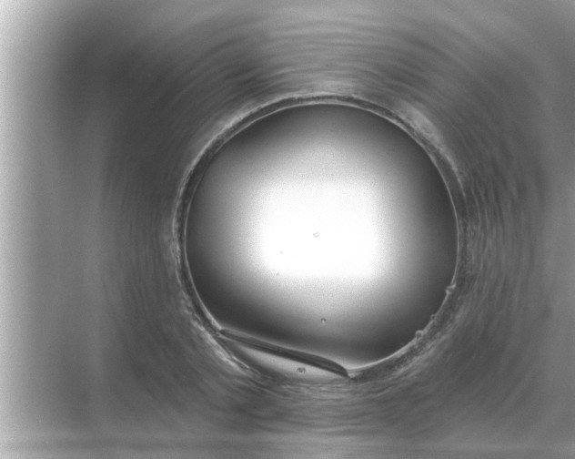 X0000070880789200606302136