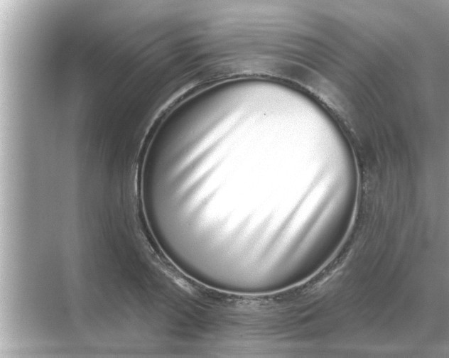 X0000070880790200606302136