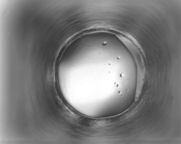 X0000070880791200606302136