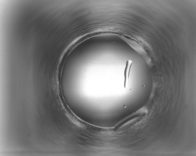 X0000070880792200606302136