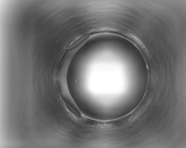 X0000070880793200606302136